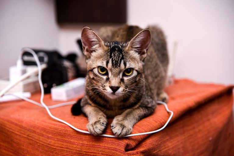 How To Improve Your Skills In Fifa Tips And Strategies From Professional Gamers