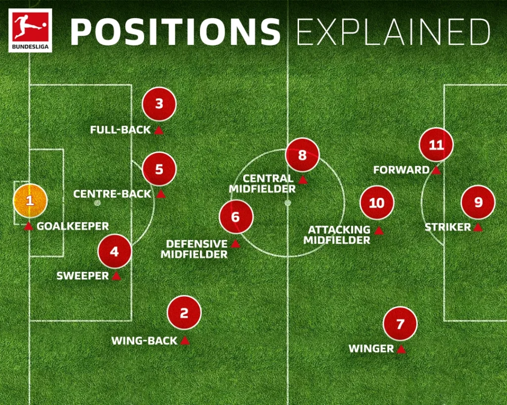football positions explained soccer roles